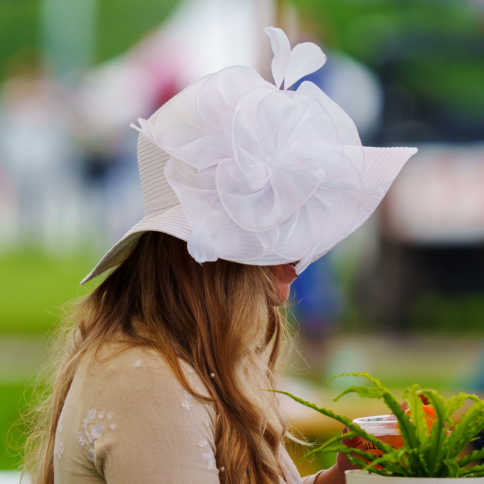 The Hats